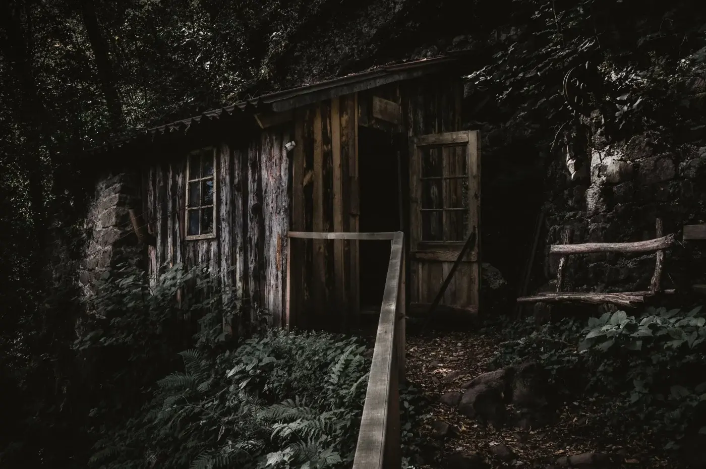 Cabin in the woods